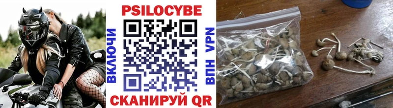 Купить закладки  Барабинск  Псилоцибиновые грибы Magic Shrooms 